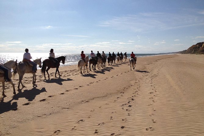 Horseback riding through Doñana and visit of El Rocio - Private tour - Why This Tour Is a Great Choice for Nature and Culture Lovers