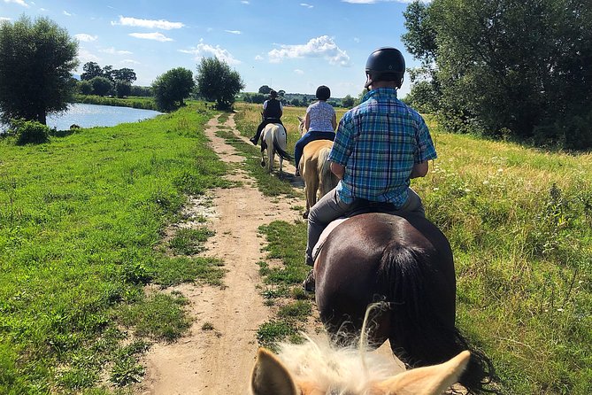 Horseback Riding Tour In Brasov - Ride Through Fields, Forests & Hills - Key Points