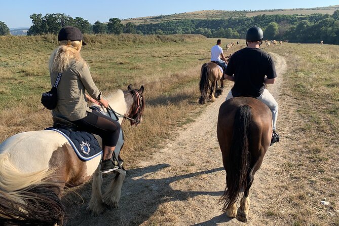 Horseback Riding Tour In Brasov - Ride Through Fields, Forests & Hills - Interaction with Local Horses: Friesian and Andalusian Breeds