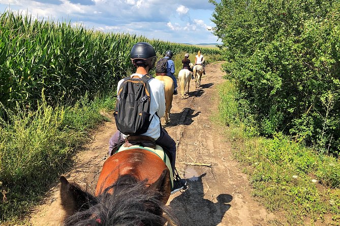 Horseback Riding Tour In Brasov - Ride Through Fields, Forests & Hills - Practical Details: Group Size, Booking, and Cancellation