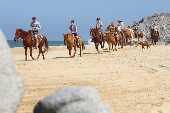 Horseback Riding Tour in Cabo San Lucas - Experience the Beauty of Baja California with a Horseback Ride in Cabo San Lucas