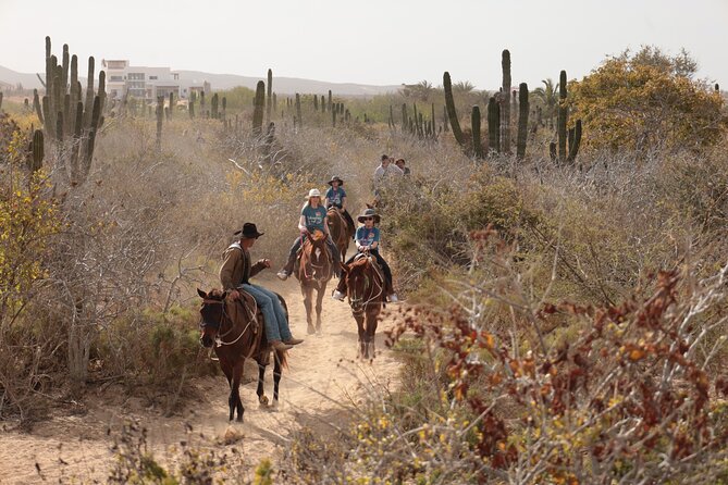 Horseback Riding Tour in Cabo San Lucas - Stopping for Photos: Desert Flora and Panoramic Views