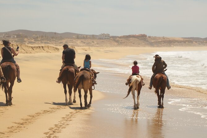 Horseback Riding Tour in Cabo San Lucas - The Experience of Riding Through Desert and Beach