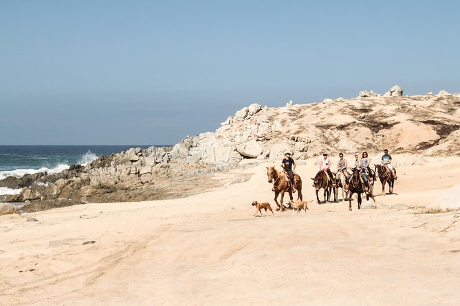 Horseback Riding Tour in Cabo San Lucas - Food, Drinks, and Additional Costs