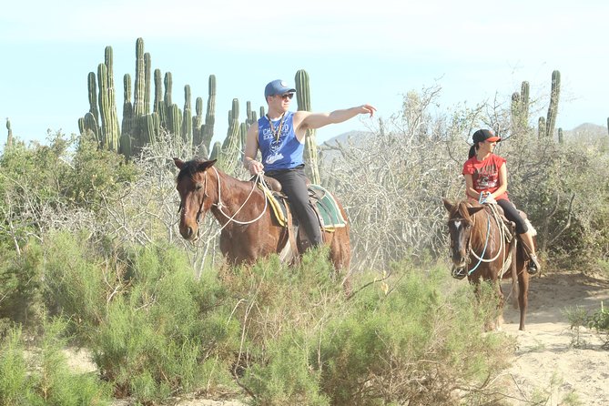 Horseback Riding Tour in Cabo San Lucas - Safety and Notable Incidents