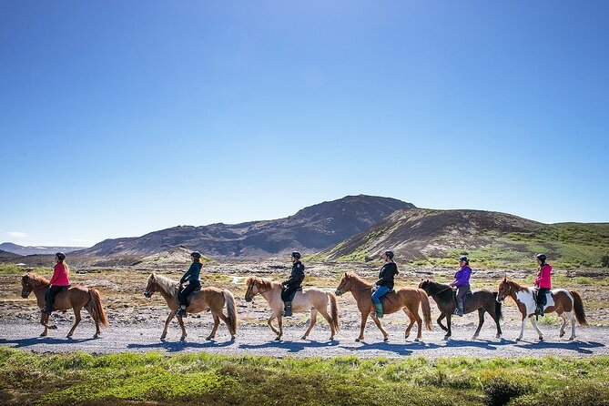 Horseback Riding Tour in Iceland - The Starting Point at Ishestar Horse Riding Centre