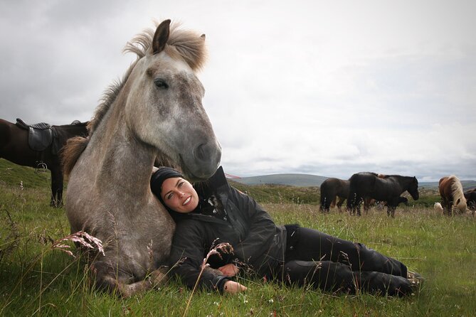 Horseback Riding Tour in Iceland - The Icelandic Horse: A Close-Up Introduction