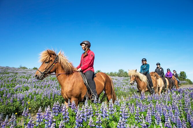 Horseback Riding Tour in Iceland - Practical Details: Booking, Cancellation, and Weather