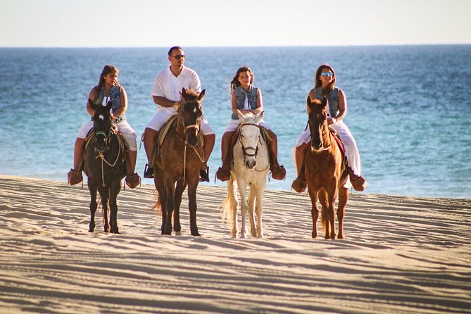Horseback Riding Tour in Los Cabos - Riding Through Baja California Sur Desert and Along the Pacific Coast