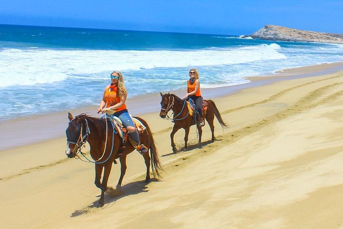 Horseback Riding Tour in Los Cabos - Final Thoughts on the Los Cabos Horseback Riding Experience
