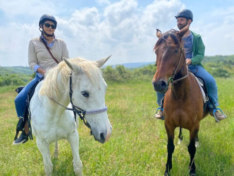 Horseback riding tour near Prague - Suitable Participants and Accessibility