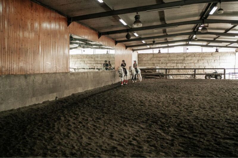 Horseback Riding Tour - The Guide and Group Experience