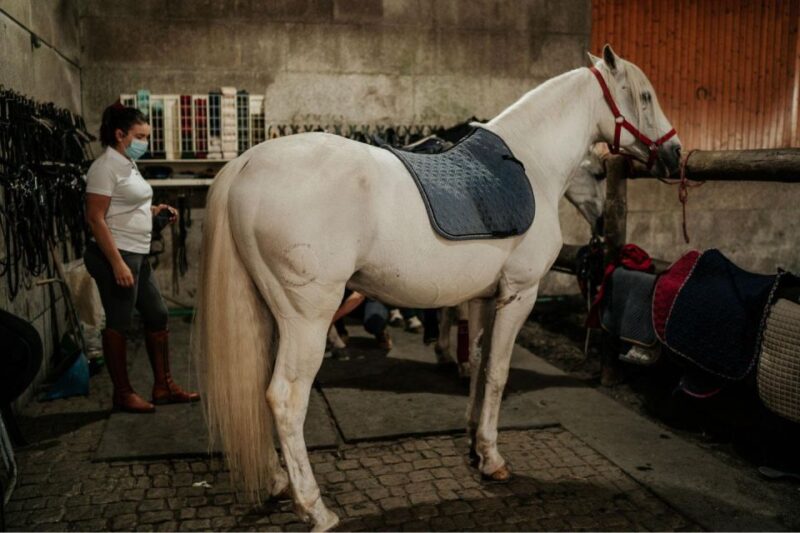 Horseback Riding Tour - Meeting Point and Practical Details