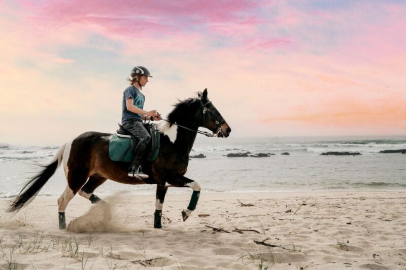 Horseback Riding Tour - Flexibility and Cancellation Policies
