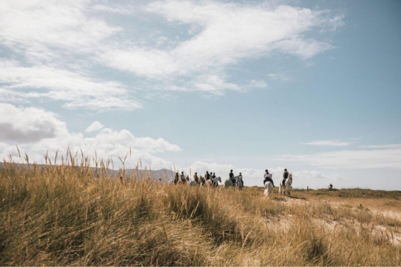 Horseback Riding Tour - The Experience Provider and Booking