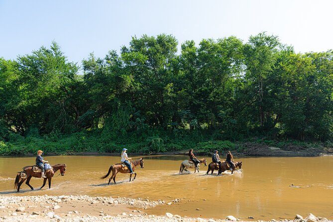 Horseback Riding Tour to the Hot Springs in Puerto Escondido - Logistics and Meeting Details