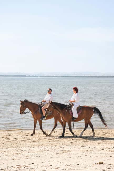 Horseback Riding Trough The Beach GROUP - PDT - Key Points