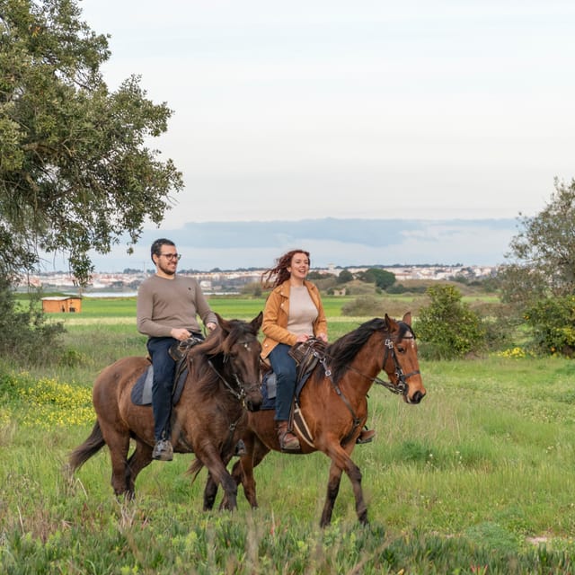 Horseback Riding Trough The Beach GROUP - PDT - The Gentle Horses and Steady Pace for Beginners