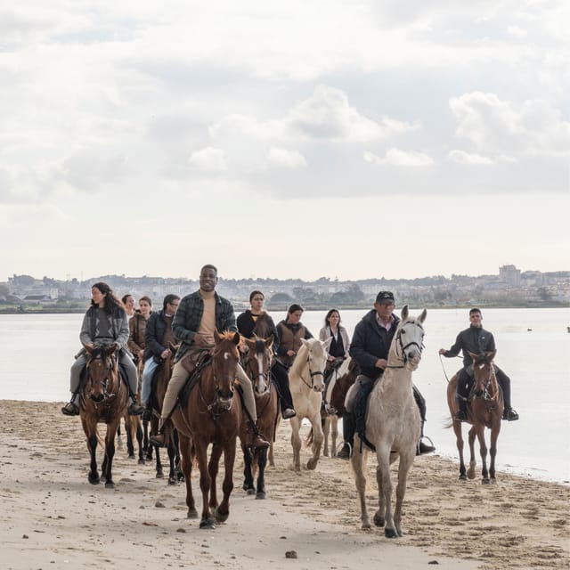 Horseback Riding Trough The Beach GROUP - PDT - Comparing with Similar Beach Activities