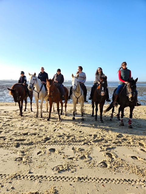 Horseback Riding Trough The Beach GROUP - PDT - Cost and Booking Flexibility