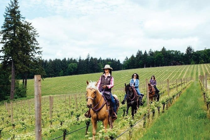 Horseback riding & Wine Tasting and snack Lunch at noble Estate - Flexibility and Considerations for the Tour
