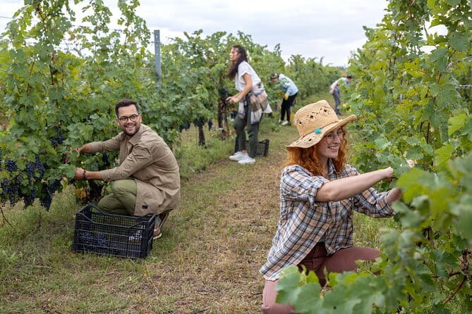 Horseback riding & Wine Tasting and snack Lunch at noble Estate - Final Thoughts on the Horseback Riding & Wine Tasting Tour