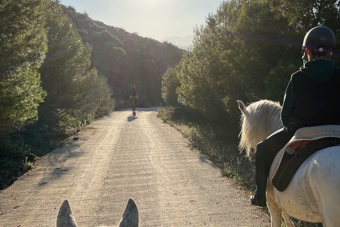 Horseback Riding with Certified Guide - Discover the Joy of Horseback Riding in Malaga