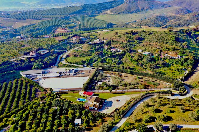 Horseback Riding with Certified Guide - Expert Guidance and Personal Attention