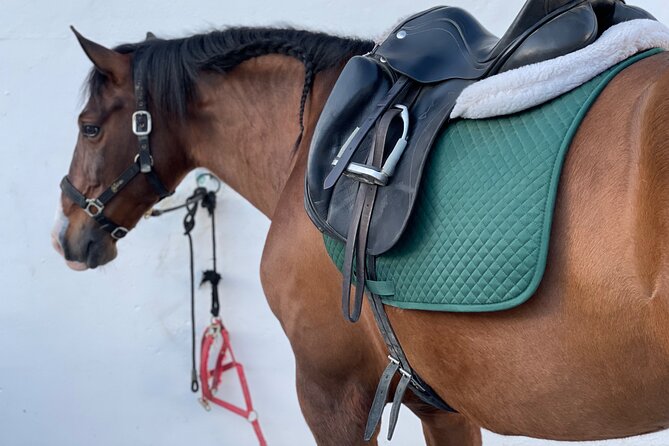 Horseback Riding with Certified Guide - Flexibility and Cancellation Policy