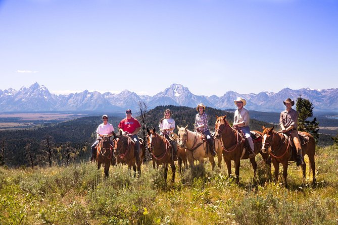 Horseback Riding with Grand Teton Views in Jackson Hole - The Horses and Riding Experience