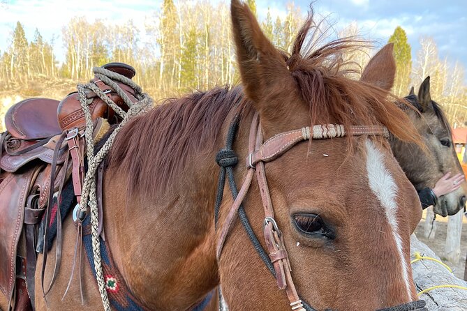 Horseback Riding with Grand Teton Views in Jackson Hole - The Experience of a Wyoming Cowboy