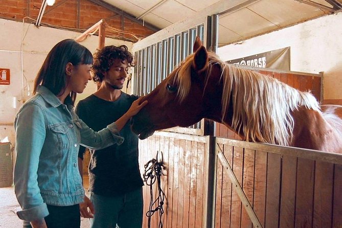 Horseback Ridings and Wine Tastings in a Winery of San Gimignano - Physical Requirements and Tips for Participants