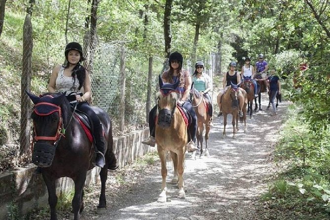Horseback Ridings and Wine Tastings in a Winery of San Gimignano - Who Will Love This Tour?