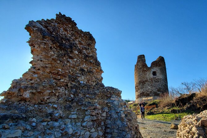Horseback Trail Riding and Hiking - Day Trip from Belgrade - Scenic Views and Natural Highlights of Fruska Gora
