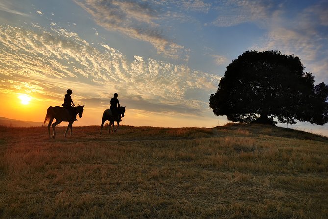Horsebackriding - explore Tuscan nature - The Horses and Their Care