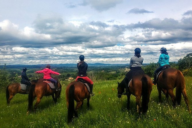 Horsebackriding - explore Tuscan nature - The Guides and Their Approach