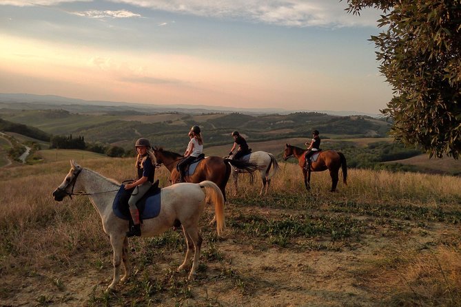 Horsebackriding - explore Tuscan nature - Physical Fitness and Riding Requirements