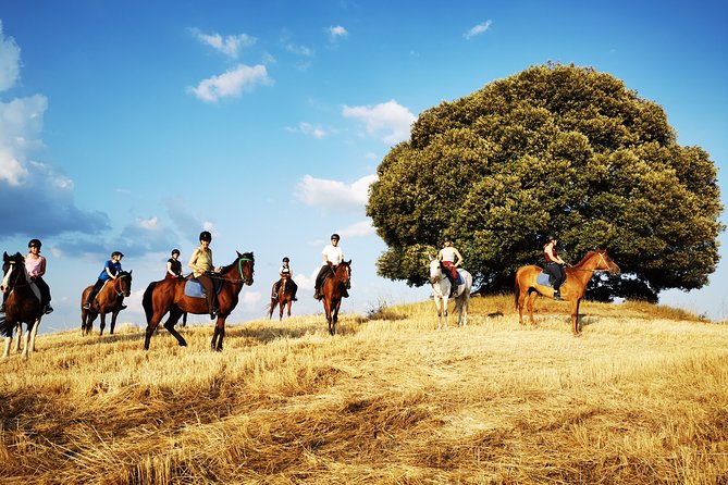 Horsebackriding - explore Tuscan nature - The Food, Drinks, and Additional Comforts