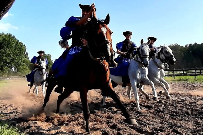 Horseshow on the Hungarian Puszta, private tour from Budapest with entry! - Traditional Hungarian Lunch with Wine