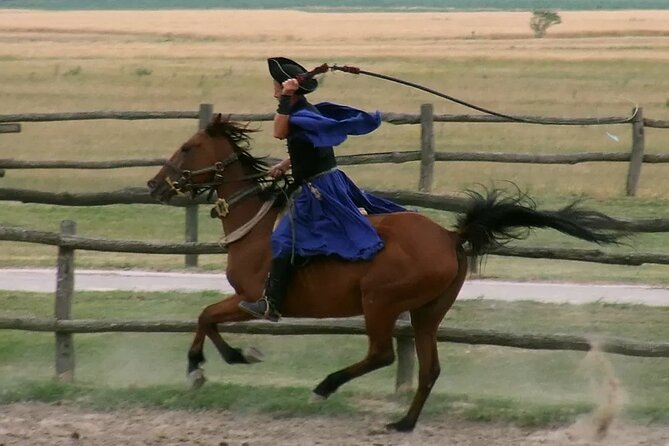 Horseshow on the Hungarian Puszta, private tour from Budapest with entry! - Unique Features of the Puszta Horse Show