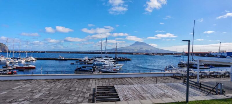 Horta, Faial, Azores: Walking Tours and Trails with a Local Guide - Exploring Horta’s Historic Center and Local Streets