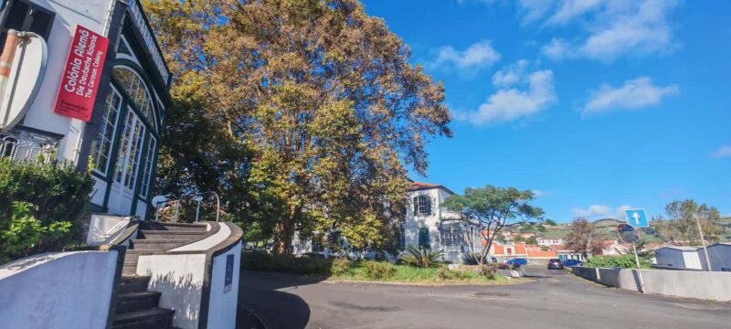 Horta, Faial, Azores: Walking Tours and Trails with a Local Guide - Sharing Local Traditions and Azorean Lifestyle