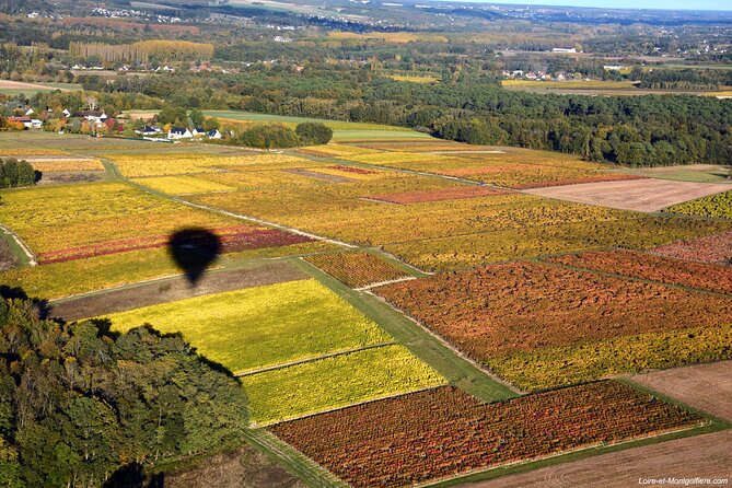 Hot Air Balloon Flight in Loire Valley - The Post-Flight Tasting and Celebrations