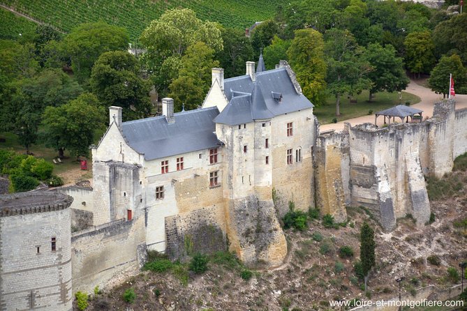 Hot Air Balloon Flight over the castle of Chenonceau / France - Who Will Most Enjoy This Flight