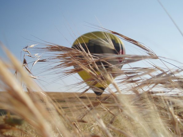 Hot-Air Balloon Ride over Aranjuez with Optional Transport from Madrid - Post-Flight Brunch and Cava Celebration