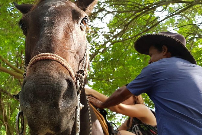 Hot Springs Horseback Riding Adventure - Considerations and Limitations