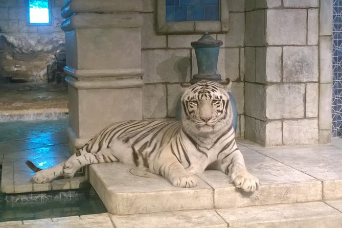 Houston City Tour and Downtown Aquarium All Rides Pass - Visiting the Houston Aquarium: Marine Life and All Rides