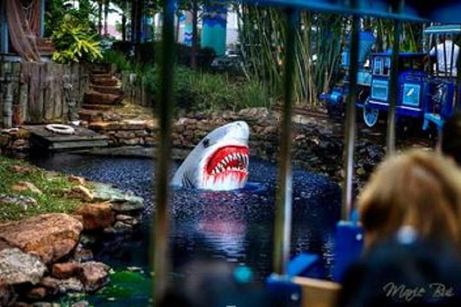 Houston City Tour and Downtown Aquarium All Rides Pass - Value and Overall Experience