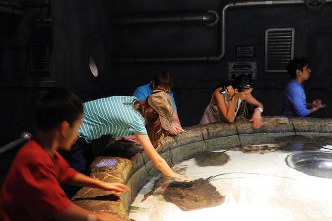 Houston CityPASS® - Choosing the Remaining Four Attractions