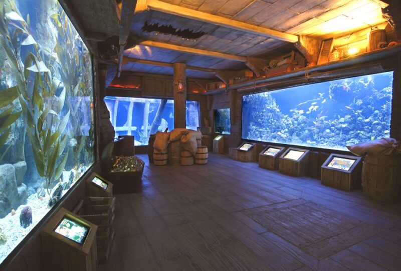 Houston CityPASS®: Save up to 51% at 5 Top Attractions - The Value of the Houston CityPASS® for Budget-Conscious Visitors